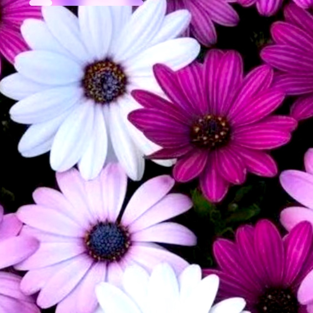 Meet your Posher, Kaitlan